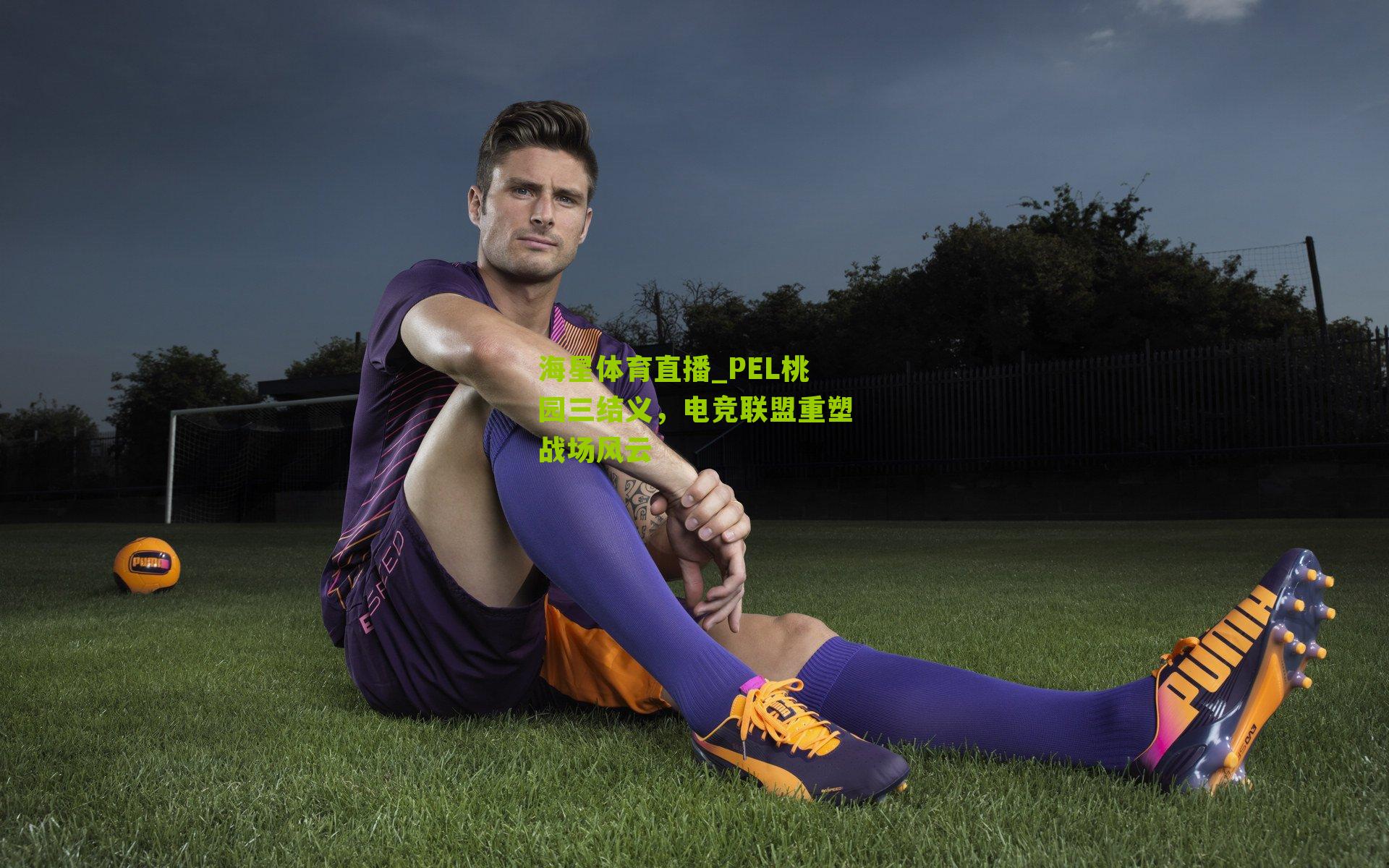 海星体育直播_PEL桃园三结义，电竞联盟重塑战场风云