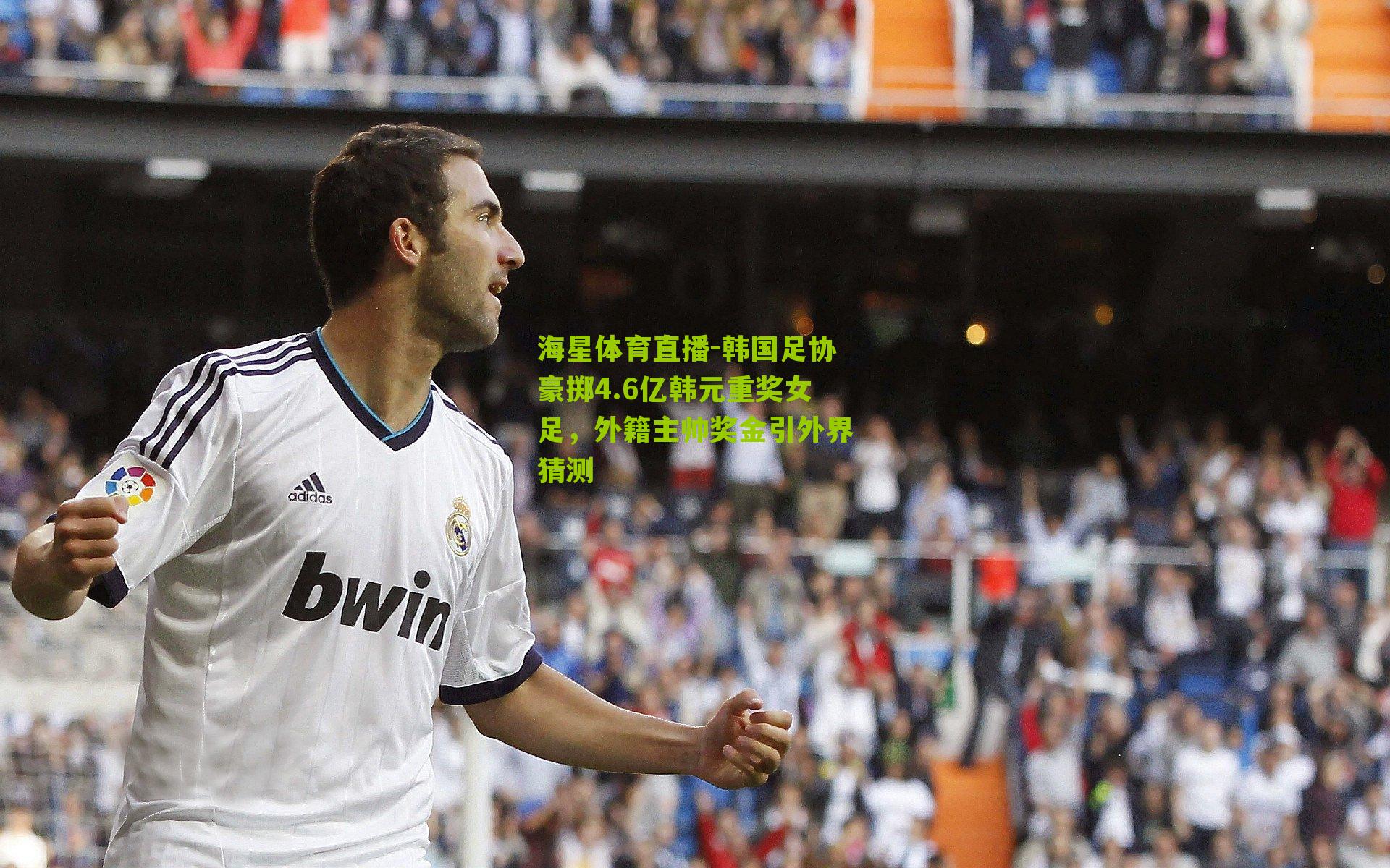 韩国足协豪掷4.6亿韩元重奖女足，外籍主帅奖金引外界猜测